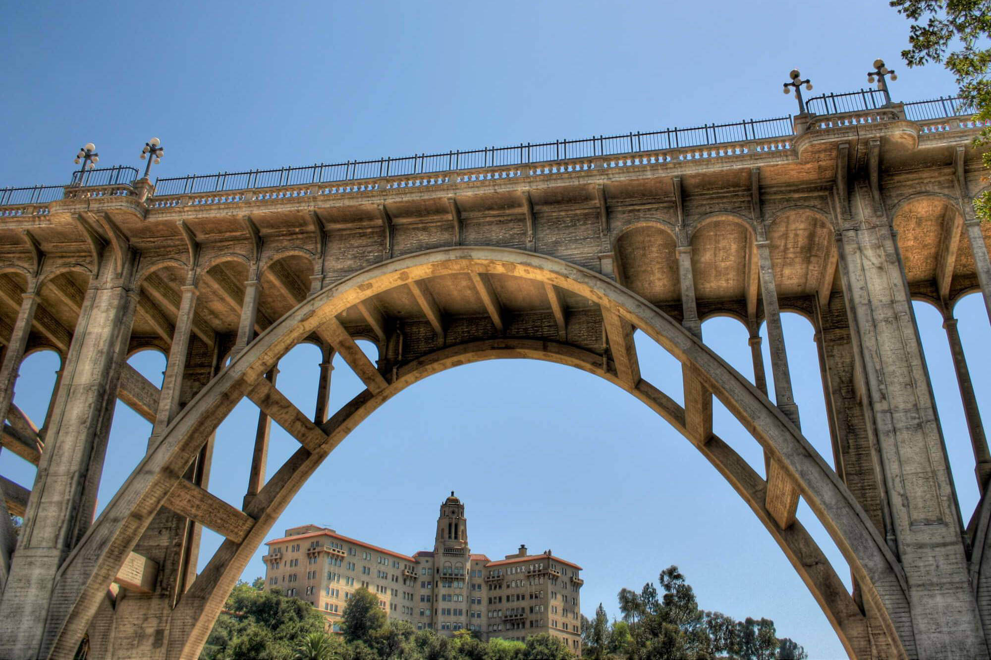Bridge over a park